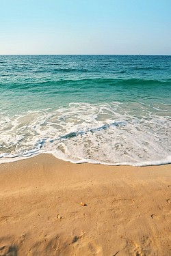 Sea