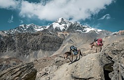 Himalaya