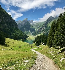 Switz