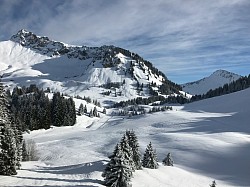 Alps