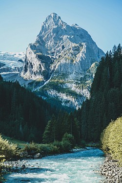 Switz